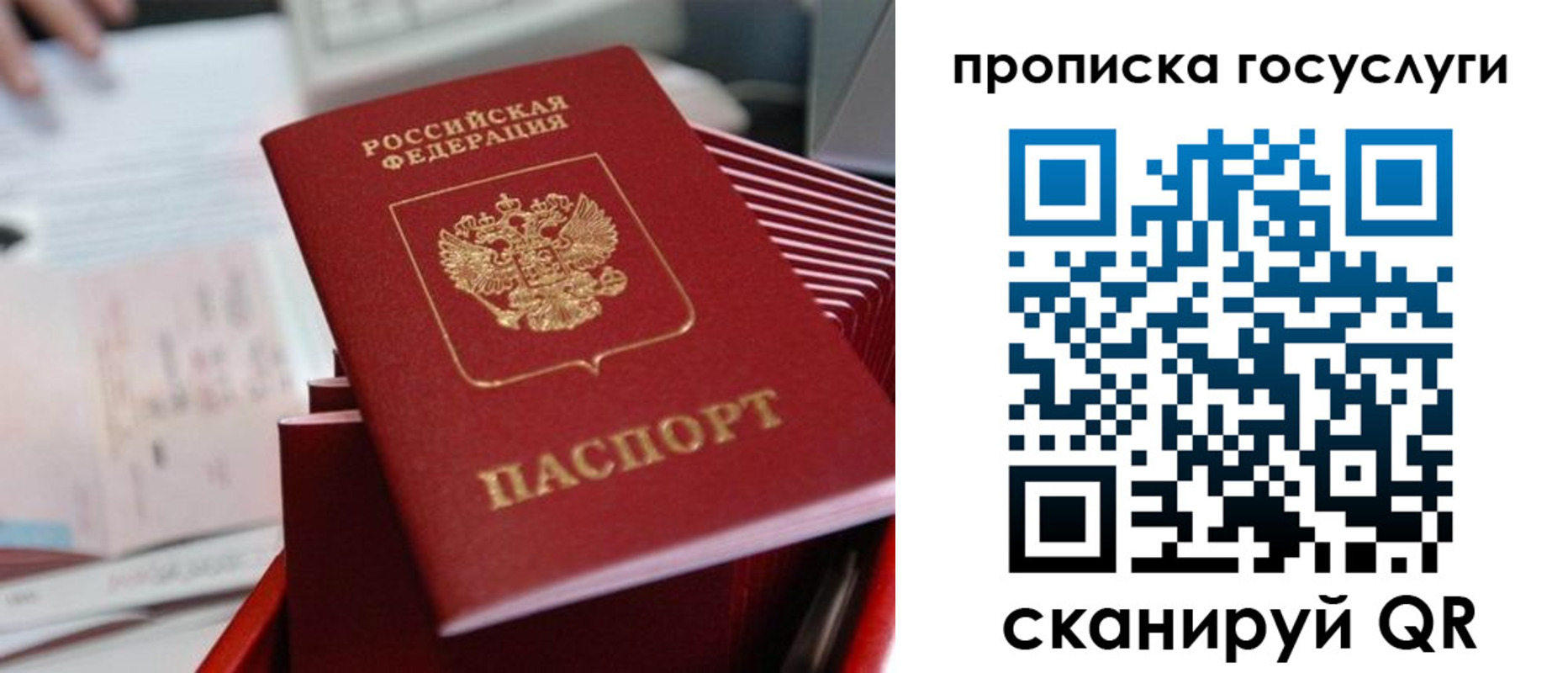 прописка законно в Ковдоре